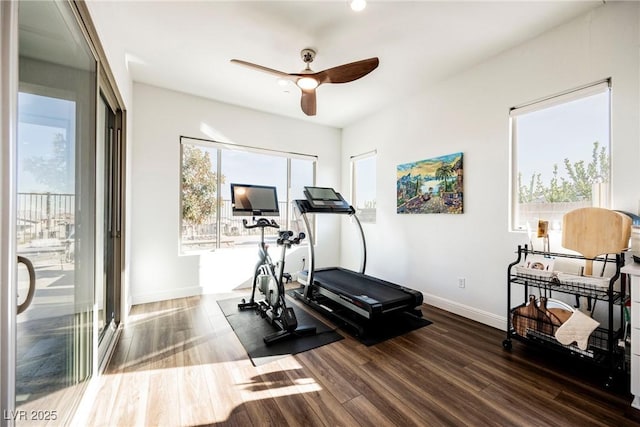 workout room with ceiling fan and dark hardwood / wood-style floors