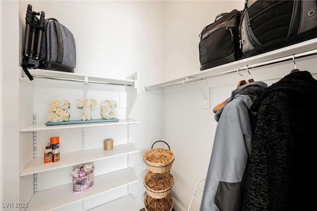 view of spacious closet