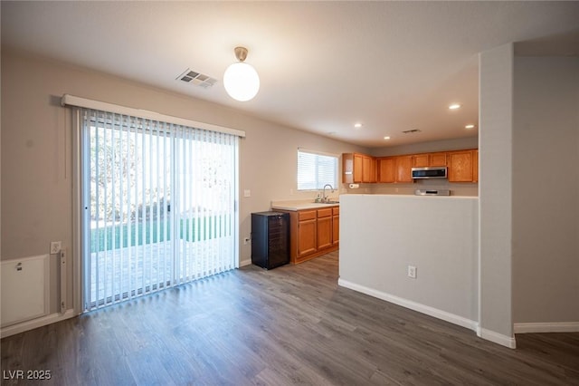 kitchen with dark hardwood / wood-style floors and sink