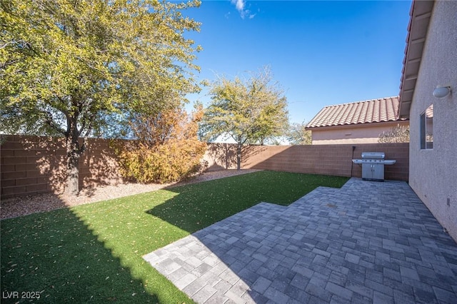 view of yard featuring a patio