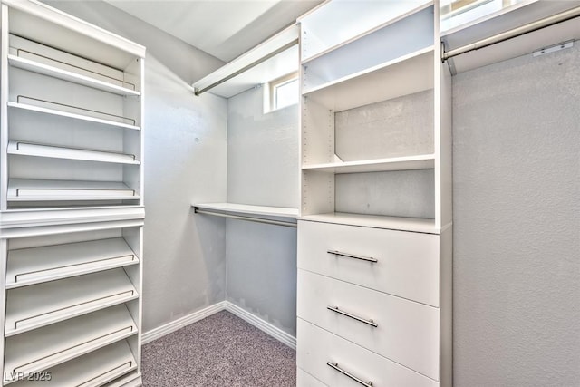 walk in closet with carpet