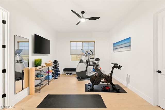 exercise room with a wealth of natural light, light hardwood / wood-style flooring, and ceiling fan