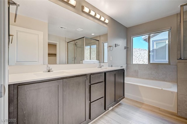 bathroom featuring vanity and independent shower and bath