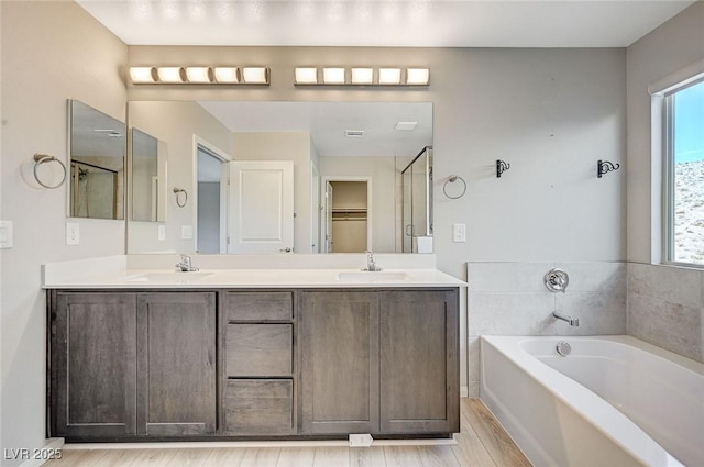 bathroom featuring vanity and independent shower and bath