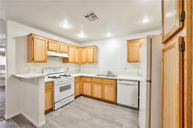 kitchen with light brown cabinetry, sink, light hardwood / wood-style floors, and white appliances