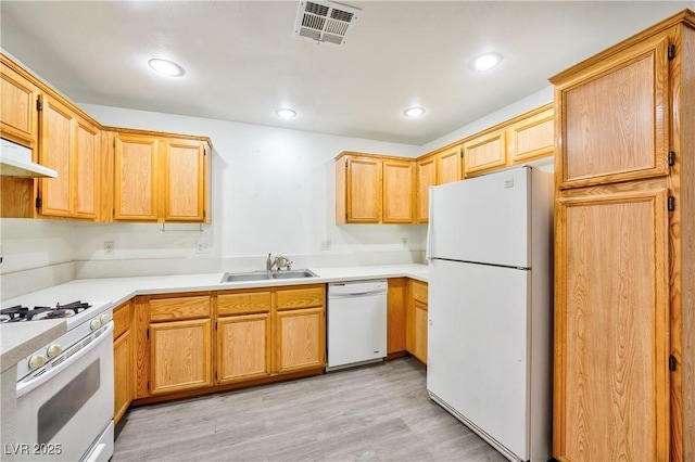 kitchen featuring sink, light hardwood / wood-style floors, and white appliances