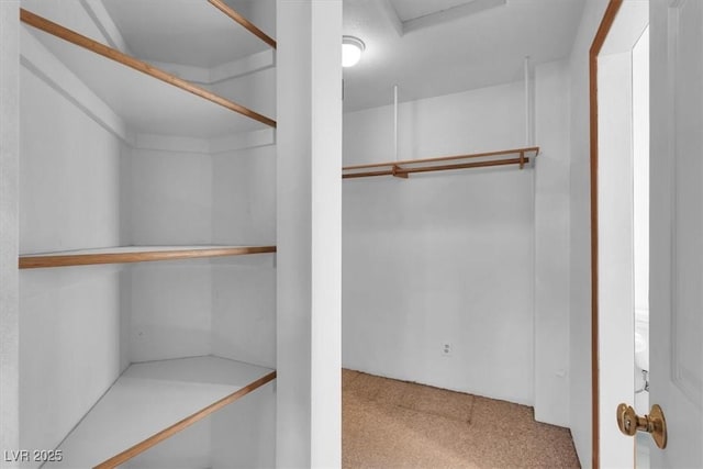 walk in closet with carpet