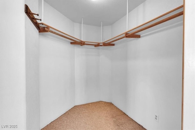 spacious closet featuring carpet flooring