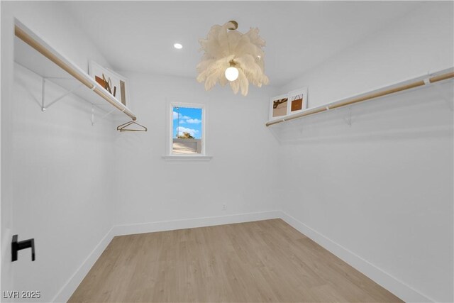 spacious closet featuring light hardwood / wood-style floors