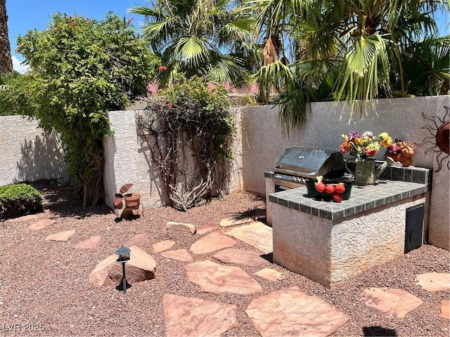 view of patio featuring area for grilling and exterior kitchen