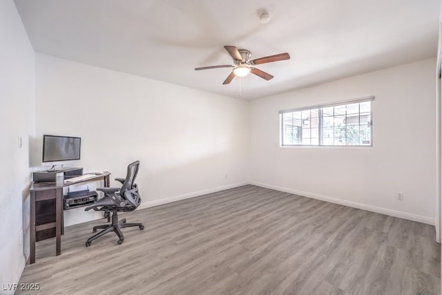 office space with ceiling fan and light hardwood / wood-style flooring