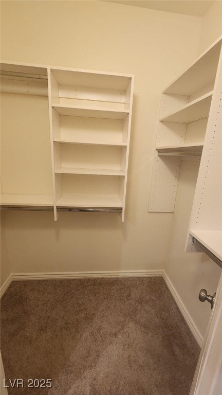 spacious closet with carpet flooring