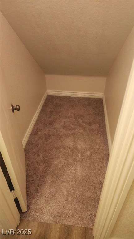 room details featuring carpet flooring and a textured ceiling