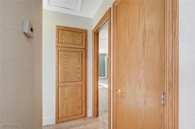 hallway with light hardwood / wood-style flooring