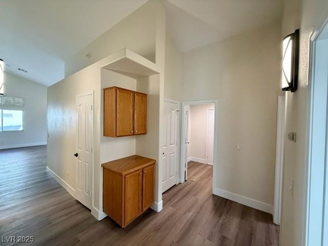 hall featuring dark wood-type flooring and lofted ceiling