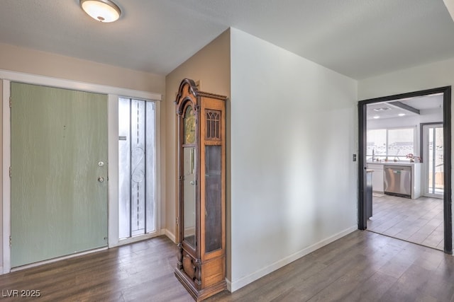 entrance foyer featuring wood-type flooring