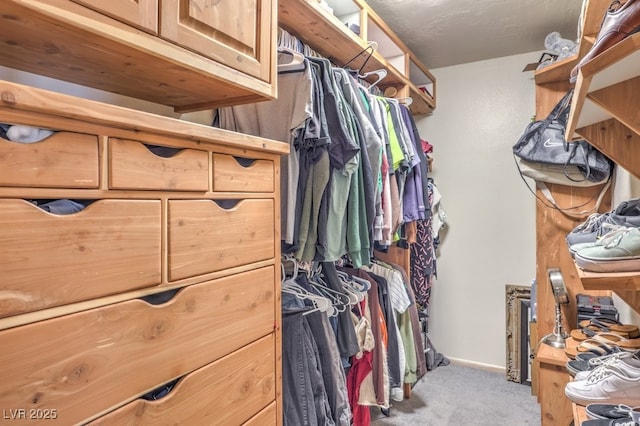 spacious closet with light colored carpet