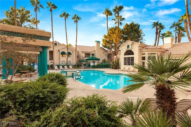 view of swimming pool with a patio