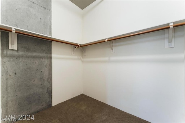 walk in closet featuring carpet floors