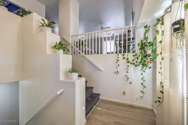 staircase with ceiling fan and hardwood / wood-style floors