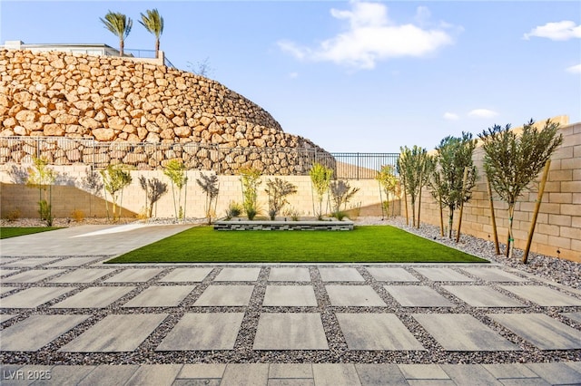 view of yard with a patio area