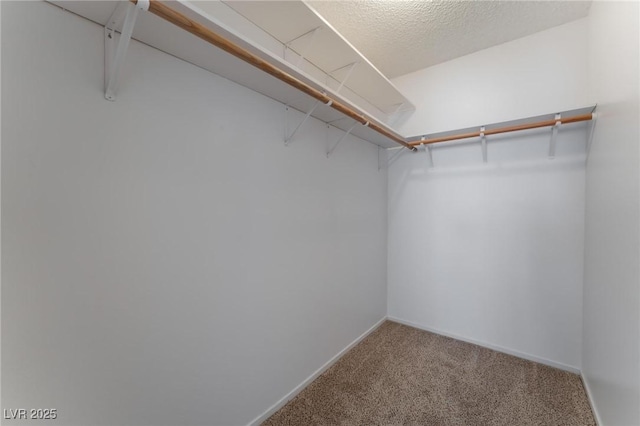 walk in closet with carpet