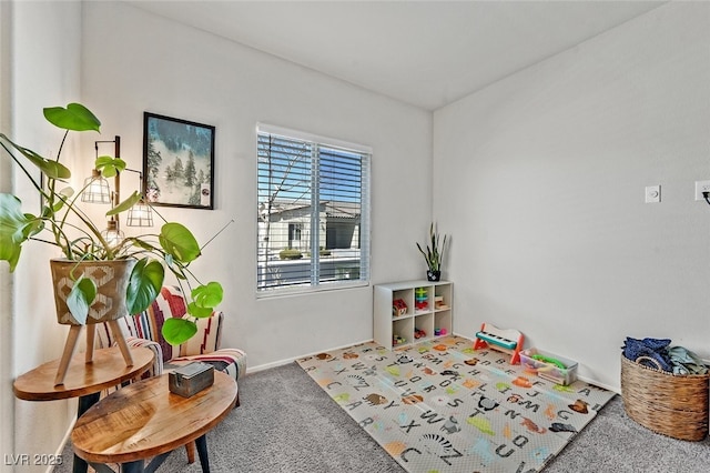 living area featuring carpet flooring