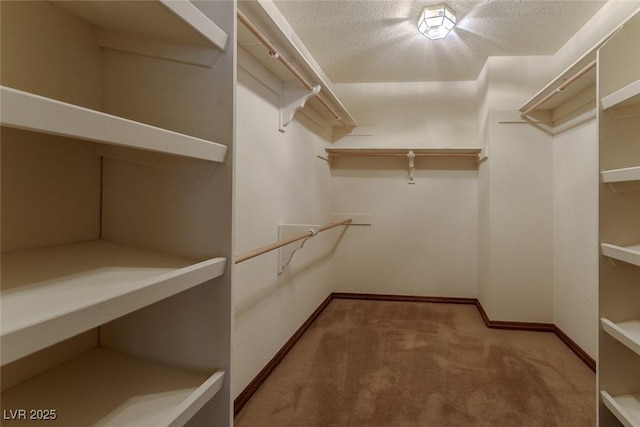 spacious closet featuring carpet flooring