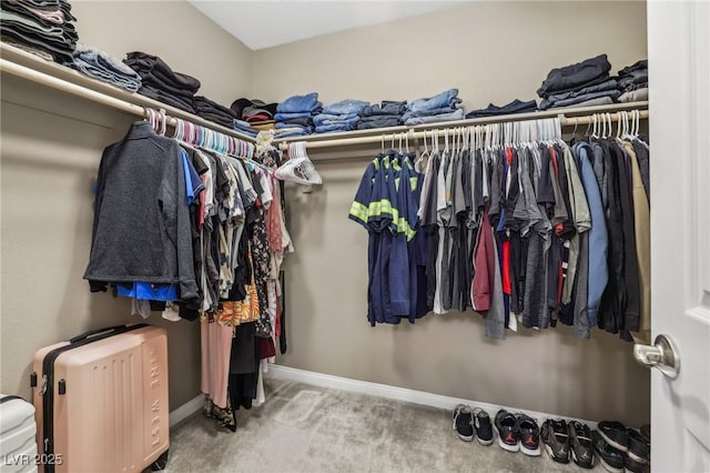 spacious closet with carpet flooring