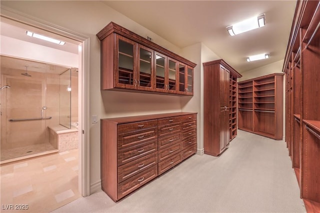 walk in closet with light colored carpet