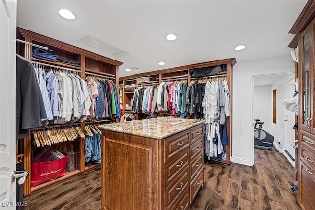 spacious closet featuring dark wood-type flooring