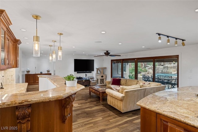 living room featuring ceiling fan and dark wood-type flooring