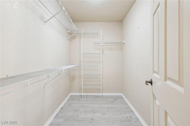 spacious closet featuring light wood-type flooring