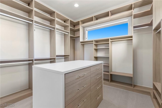 walk in closet with light wood-type flooring