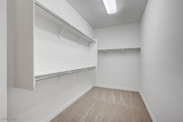 spacious closet with carpet floors