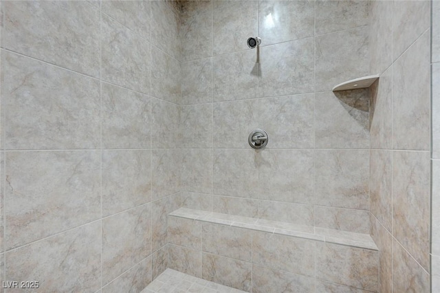 interior details with tiled shower