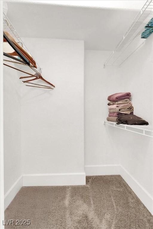 spacious closet with carpet floors