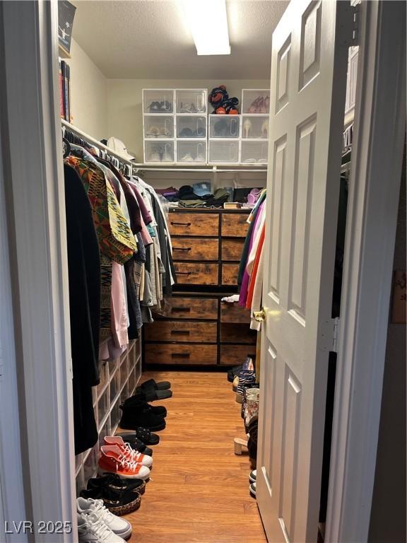 spacious closet with hardwood / wood-style flooring