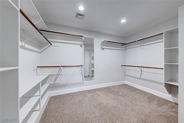 spacious closet with carpet floors