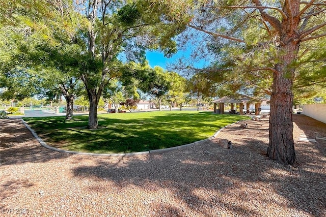 view of property's community featuring a yard