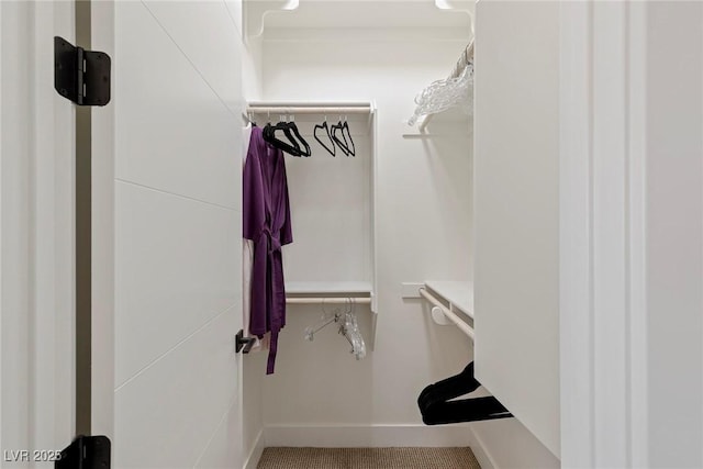 view of walk in closet