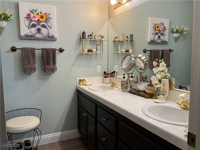 bathroom featuring wood-type flooring and vanity