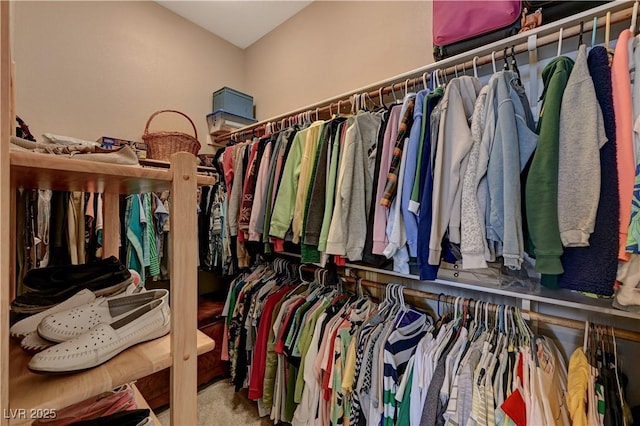 spacious closet with carpet flooring