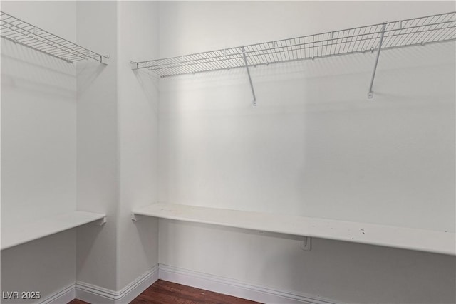 spacious closet featuring dark wood-type flooring