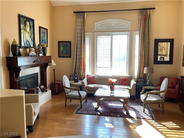 sitting room featuring light hardwood / wood-style floors