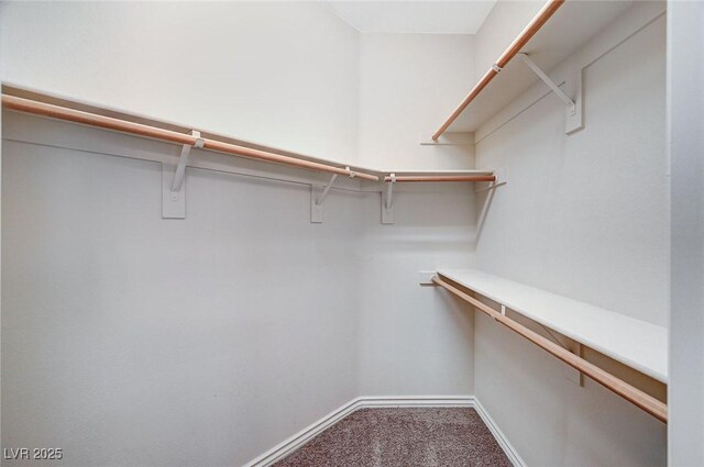 spacious closet with carpet floors