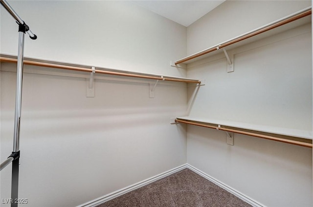 walk in closet with carpet