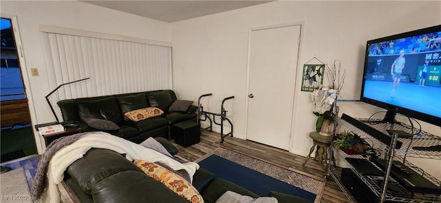 living room featuring dark wood-type flooring