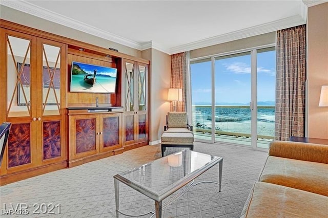 living room with crown molding