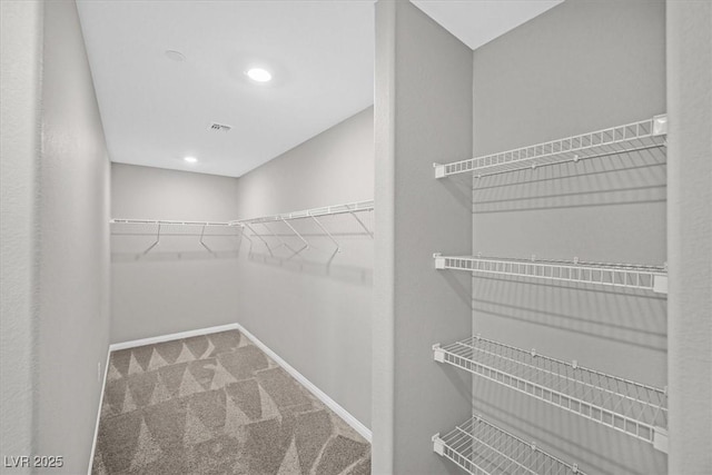 spacious closet with carpet floors